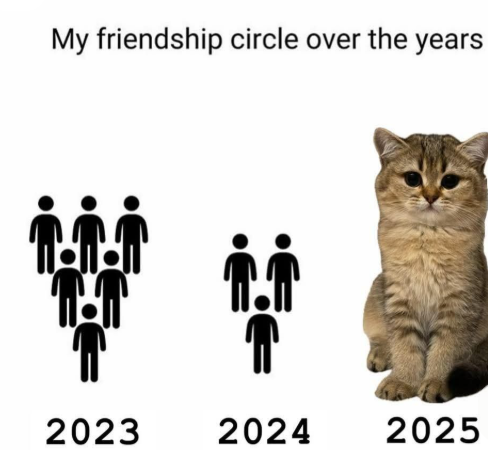 College Ka Sabse Underrated Flex? 55% Bole Good Friend Circle. Internship Nahi.
