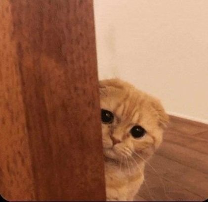 NSUT Fresher Placement Stress Factor: OA Clearing, Interviews, Ya Competition?