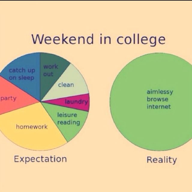 Vegas Mall vs. Hostel Chill: NSUT Weekends