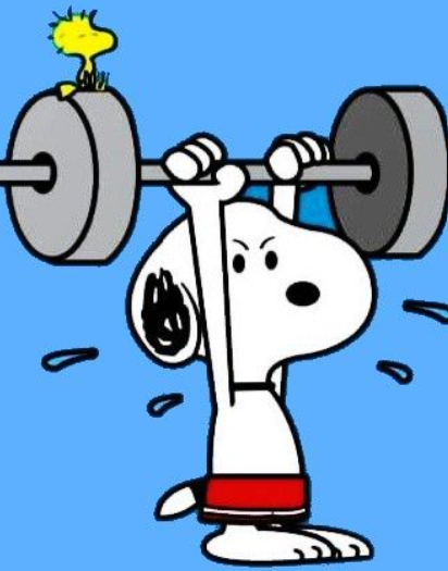 Why 55% of Greater Noida College Students Only Remember Fitness Goals When Summer Knocks